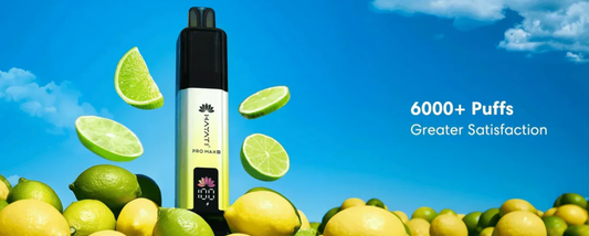 Hayati Pro Max Plus 6000 Puffs Pod Kit